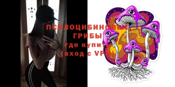 таблы Богородск